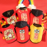 Весенний праздничнный зимний удерживающий тепло демисезонный пуховик