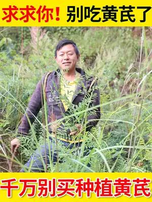 Astragalus special Chinese herbal medicine combination can be matched with Angelica codonopsis, wolfberry, red dates, soaked in water 250g