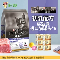 e vương miện có thể cho mèo ăn thức ăn cho mèo 5 kg sữa vắt sữa 1-4 tháng mèo xanh mèo tự nhiên hạt chính 2,5kg nên cho mèo ăn cơm hay ăn hạt