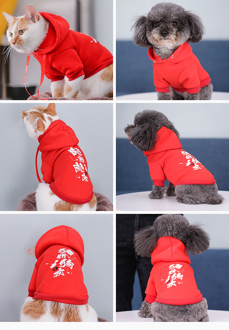 Chó mùa thu Quần áo Teddy chó con chó con hơn gấu nhỏ Quần áo pome thú cưng mèo quần áo mùa đông Quần áo 2 chân - Quần áo & phụ kiện thú cưng quần áo cho mèo