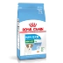 Thức ăn cho chó hoàng gia chó nhỏ chó đặc biệt chó con thực phẩm 2kg Teddy VIP hơn gấu nói chung chó con - Chó Staples Chó Staples