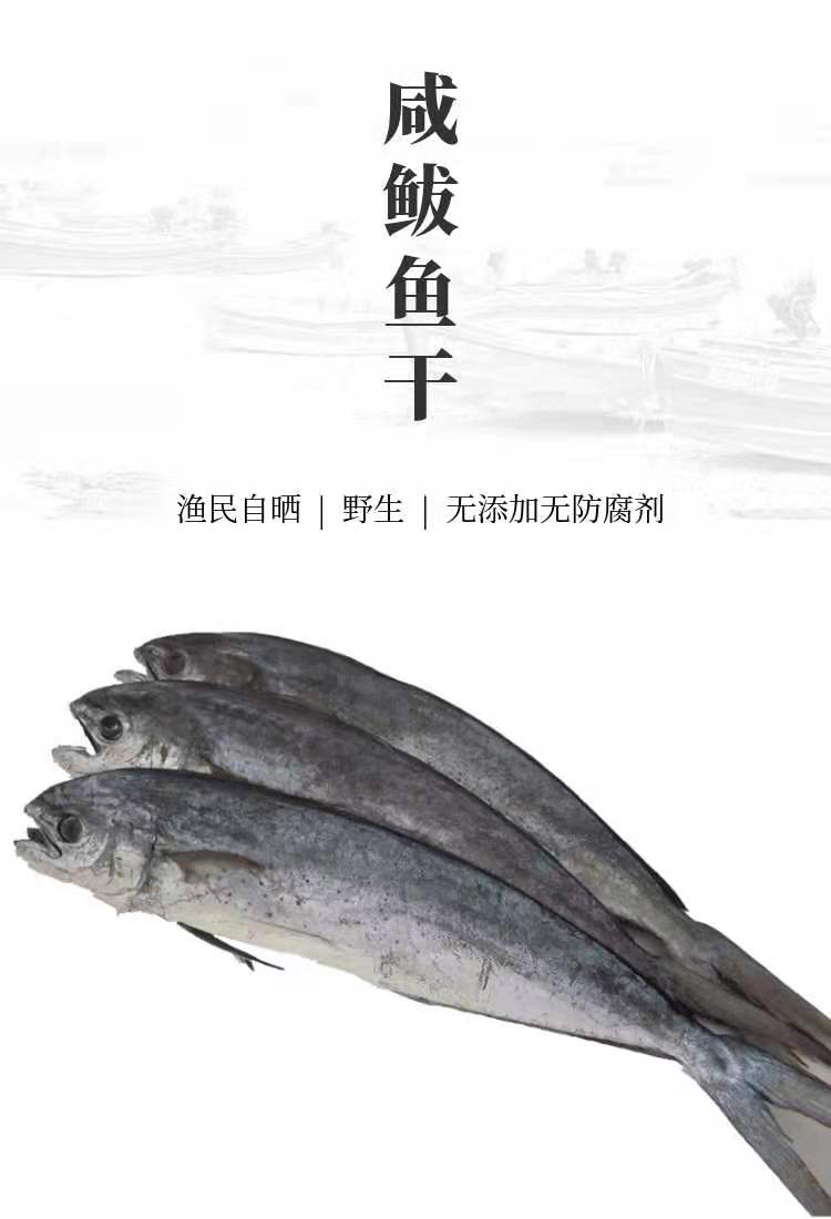 Large knife mackerel fish fillet fish dried mackerel fish dried mackerel fish mackerel salted fish salted fish dried air-dried matshark fish marinated fish