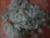 Hair dregs Various animal hair dregs wholesale