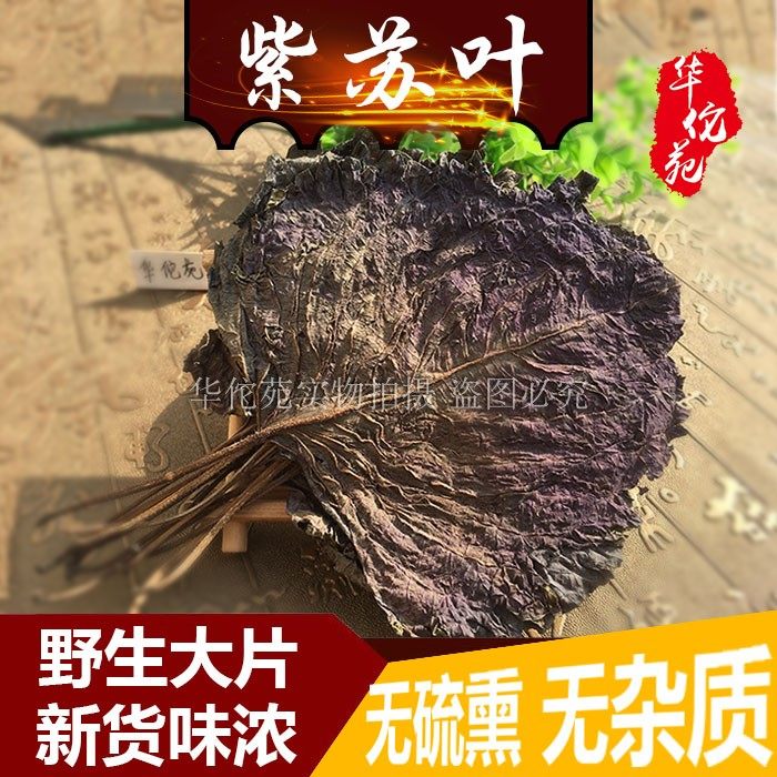 Farmhouse Purple Su Ye Fresh Hunan edible wild suzi leaf dried purple sume powder soak in the foot medicine