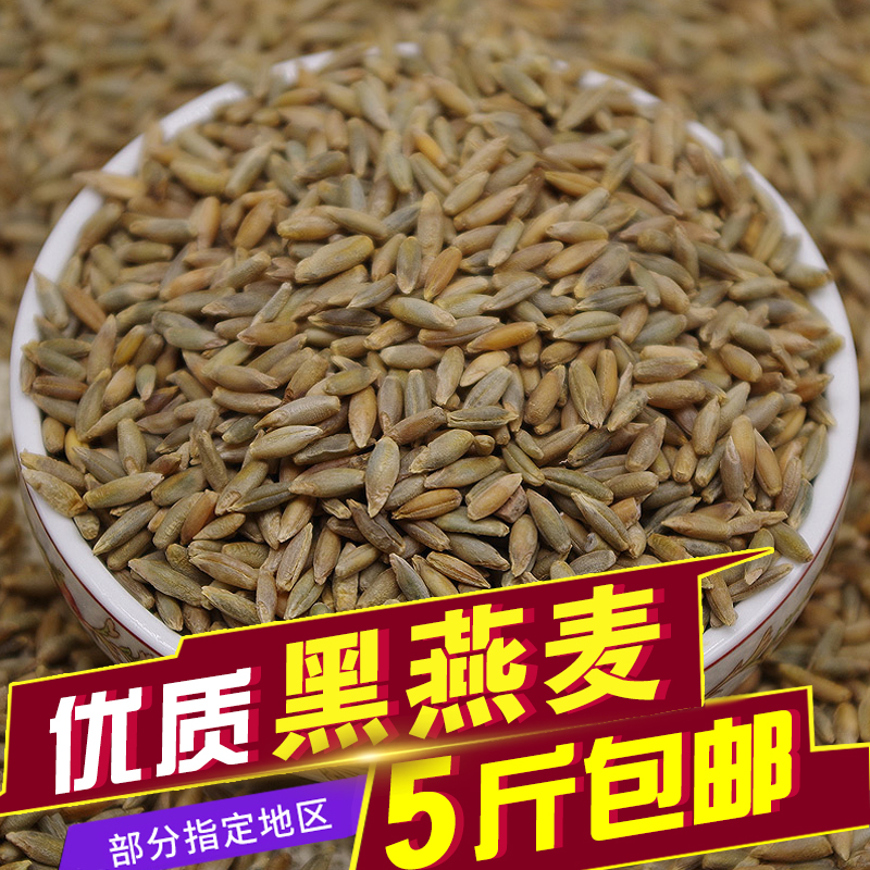 High-quality new Northwest specialty black oatmeal black oatmeal nutrition good taste 500g whole grains