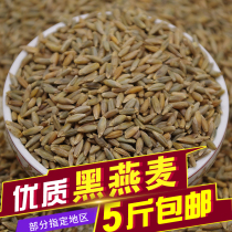 High quality new Northwest Specialty black oats black oats nutrition good taste 500g grains