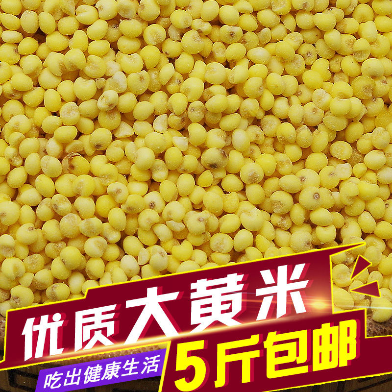 High quality yellow rice glutinous glutinous glutinous glutinous millet rice grain 500g