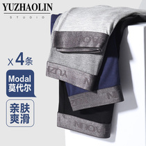 Modal cotton crotch panties mens incognito breathable youth student waist boxers boxer shorts slits