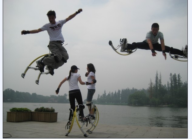 Echasses - jumper - Ref 2575787 Image 26