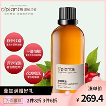 oplants Rosehip Oil Base Oil Base Oil Massage Oil 100ml from Australia