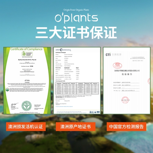 Масло семян, базовое масло для лица, качественное массажное масло для всего тела, 100 мл