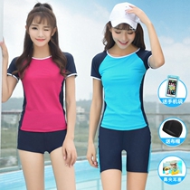 Swimsuit women swimming pool special small chest flat chest slightly fat girl Net red wind black conservative spring and summer split thin new