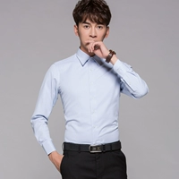 [Одиночная модель] светло -синий синий цвет