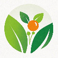 十年老店 专注食补的LOGO