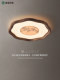Black Walnut Led Bedroom Ceiling Light, New Chinese Style Zen-Inspired Chinese-Style Living Room and Dining Room Lamp, Song-Style Aesthetic Lighting