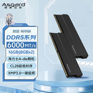 Память для настольного ПК Hynix ADIEEXPO DDR5 6000 C28 8Г*2 16Г частота 6000 МГц