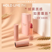 HOLD LIVE PINK LIP Lips Peach Bean Sand Matte Golden Shiny Red Pear pink Pink Lipstick