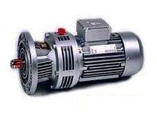 WB150 cycloidal needle wheel reducer 750W 1 47