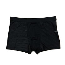 Summer new skin-friendly durable thin breathable ice silk mens underwear mesh sports sweat-absorbent quick-drying black underwear