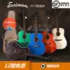 Freehold Eastman Guitar PCH West Coast OM GA Electric Box Veneer Travel Folk Guitar for Beginners