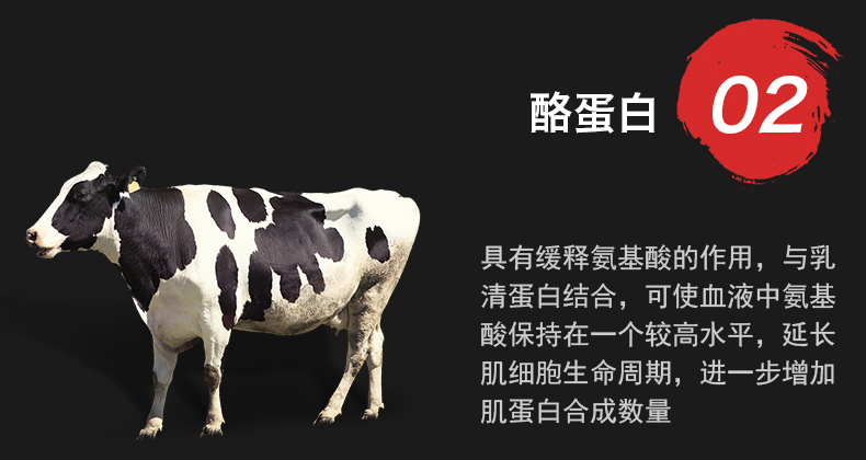 bsn5.82详情-改_05.jpg