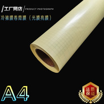 Cold film roll film (light film Bright Film) PVC cold film yellow bottom 50 m roll advertising film factory direct sales