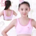 Siqi Lafei đồ lót nữ đồ lót nữ lớn đồ lót cotton chống va đập thời kỳ phát triển bé gái mười tuổi bra tập gym Áo ngực ren