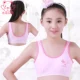 Siqi Lafei đồ lót nữ đồ lót nữ lớn đồ lót cotton chống va đập thời kỳ phát triển bé gái mười tuổi bra tập gym