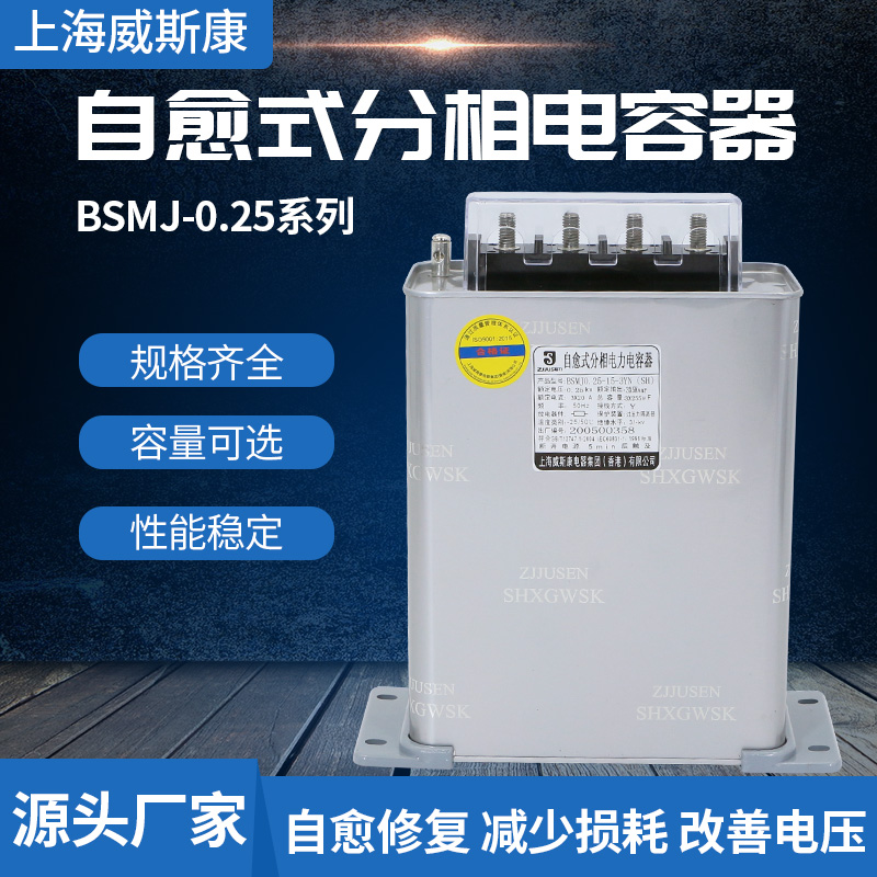 Wisconsin Shanghai Division Power Capacitor BSMJ0 25-15-3YN Self-healing Single Phase Complement 250V