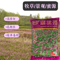 Ziyunying seeds Safflower grass seeds Edible Garden landscape Beekeeping Honey source High yield nitrogen fixation Orchard green manure plant