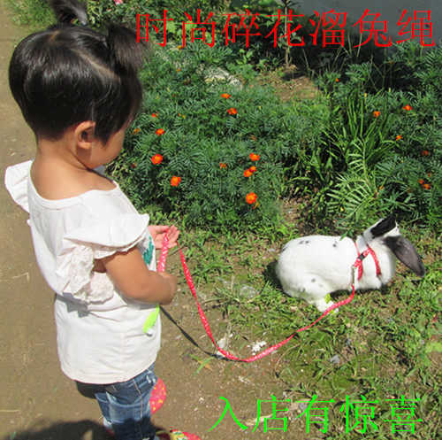 Rabbit rope rabbit pet pull rope tow belt print angel chest back I-beam chain gilet