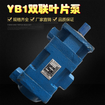 Double vane pump YB1-16 6 YB1-10 10 YB1-25 16 YB1-63 25 hydraulic gear oil pump