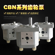 Gear Pump Hydraulic Oil Pump CBN-F310 CBN-F314 CBN-F316 CBN-F320 CBN-F306