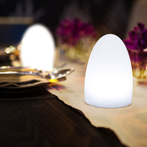 LED clear bar egg-shaped table lamp simple dining table study bedroom night light creative bar atmosphere small table lamp outdoor