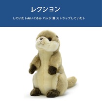 Japan aqua original genuine marine life cute otter Doll Doll Doll plush toy birthday gift