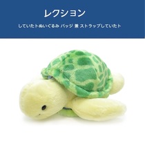 Japan aqua original genuine Aquarium marine animals cute turtle Doll Doll Doll plush toy