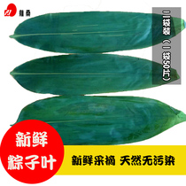 Zongzi leaf Zongzi leaf Fresh large 100 pieces Ruo leaf Large zongzi leaf Liao leaf non-reed cotyledons Reed leaves