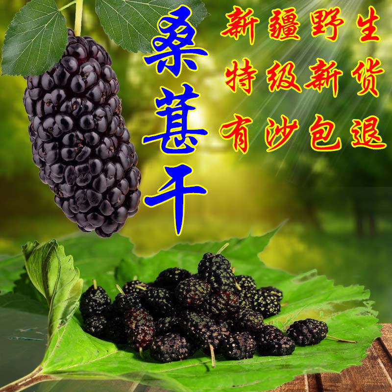 2020 Xinjiang special class wild mulberry dry 500 gr tea bubble wine mulberry mulberry without sand and free of black mulberry dried fruit