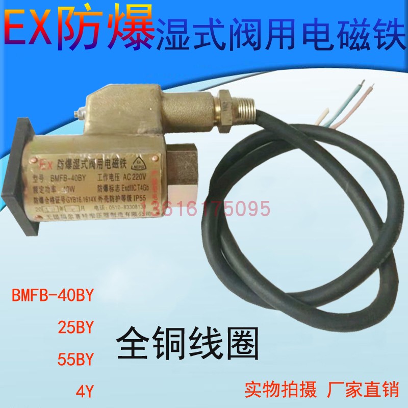 Electromagnet for EX explosion-proof wet valve BMFB-25BY BMFB-40BY 8GY BMFB1-4Y 5 5Y