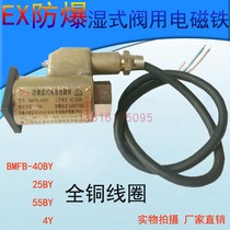 EX explosion-proof wet valve with electromagnet BMFB-25BY BMFB-40BY BMFB-40BY 8GY BMFB1-4Y 5 BMFB1-4Y 5Y