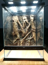 Boutique Rainforest Climbing Darling Trinity Lake Tuccine Fish Cylinder Construction Home Decoration Solid Tree Root Rock Aquatic PU Background Board