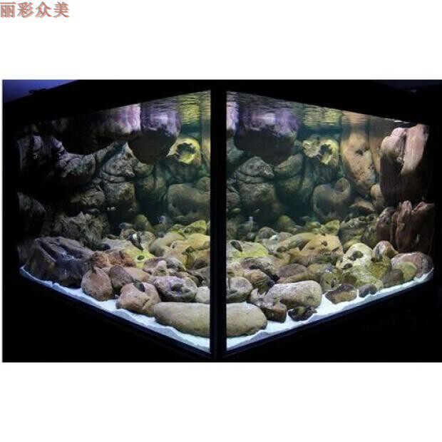 Custom 3D stereo background board Sanhu fresh sea water fish tank aquarium climbing pet rain forest landscaping home hotel decoration