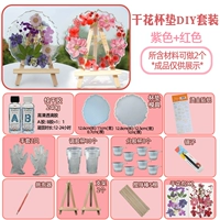 Материал Maity Meature Dry Flower Package B4-Purple+Red