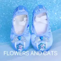 Обувь с 4 крылатыми танцами