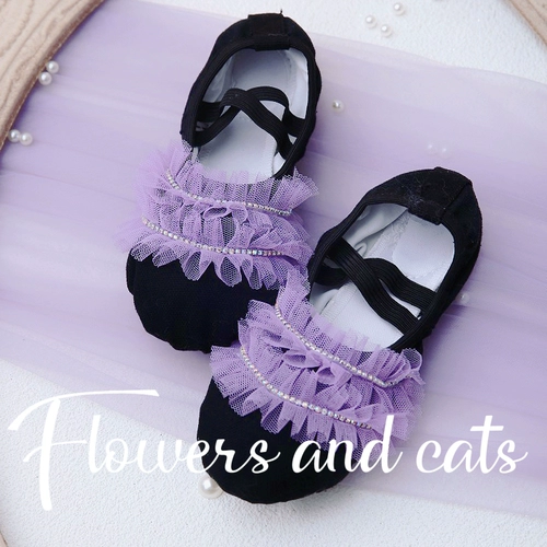 Цветы и кошки розовые танце