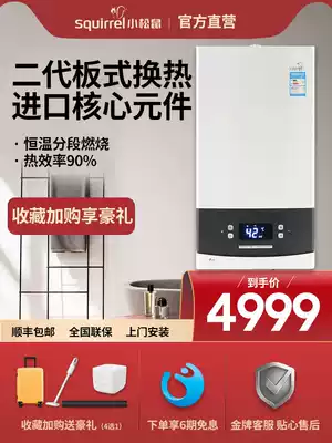 Small squirrel wall-mounted furnace gas household floor heating boiler household heating stove wall-mounted boiler dual-purpose water heater B15