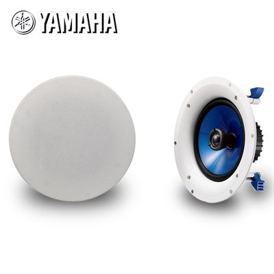 Yamaha Yamaha Ns Ic800 Broadcast Living Room Ceiling Circular
