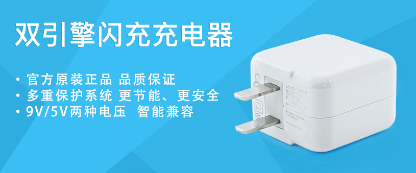 chargeur VIVO pour téléphones VIVO - Ref 1296298 Image 9