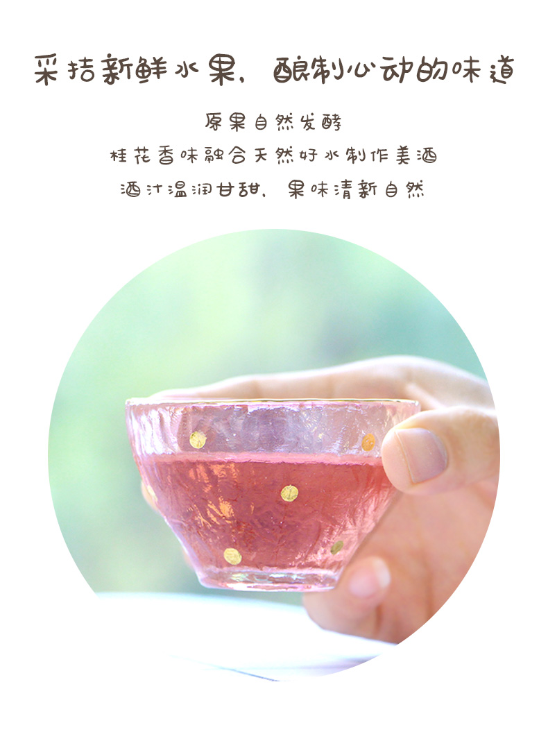 升禧 6口味 7度水果甜酒 500ml*6支 图3