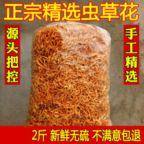 Caterpillar Fungus Flowers 1000g Dry Goods Selected Spoes Head Fresh fungus Caterpillar Fungus North Golden Worm